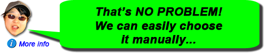 _hover_text='If you don't have a deal or quote ID, or if I can't find it, we have to choose the car manually. Please begin by choosing the make of car.'